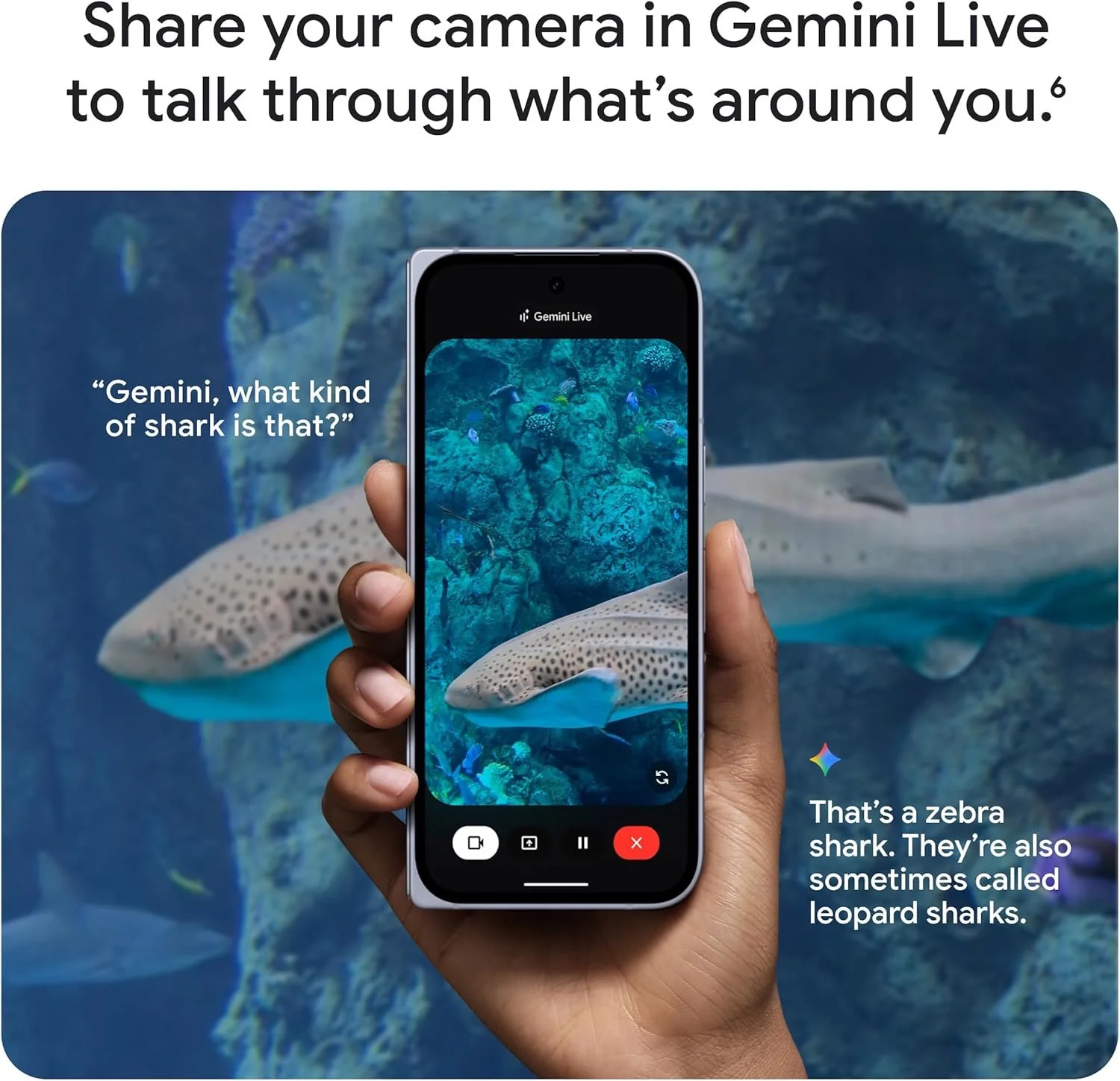 Google Pixel 10 Series Officially Launched, Featuring Gemini AI Intelligence and Latest Foldable Model