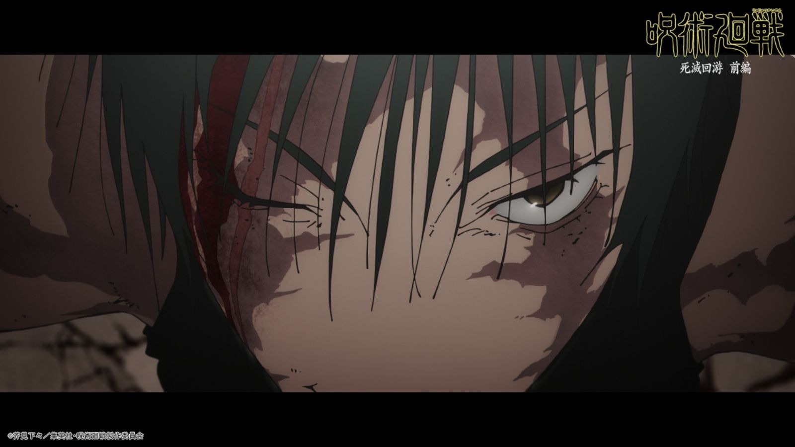 ©Gege Akutami / Shueisha, Jujutsu Kaisen