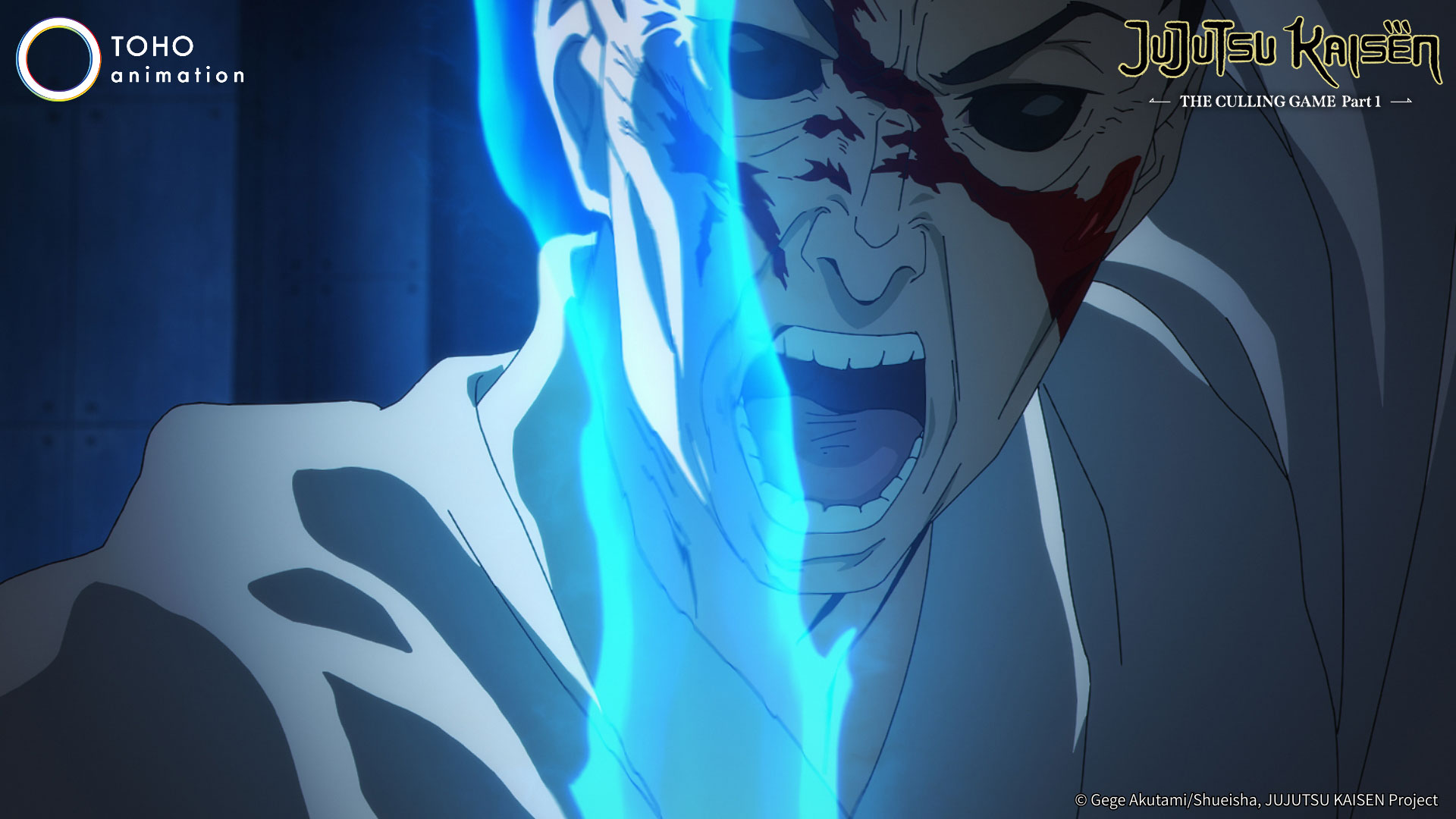 ©Gege Akutami / Shueisha, Jujutsu Kaisen