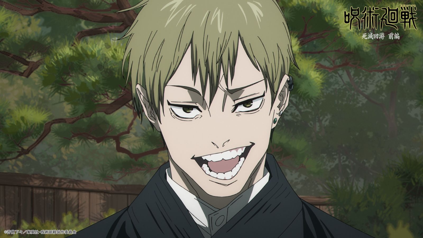 ©Gege Akutami / Shueisha, Jujutsu Kaisen