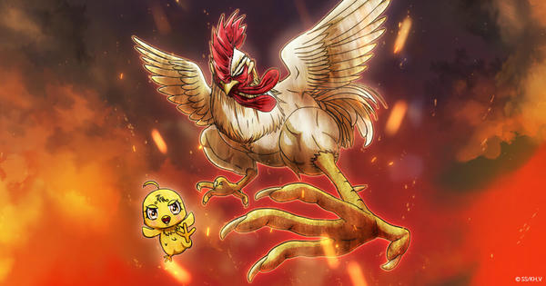 Petualangan Ayam dimulai! Anime Rooster Fighter Resmi Diumumkan!