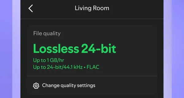 스포티파이 무손실 공식 출시: 활성화 방법 및 FLAC 고음질 음악 즐기기
